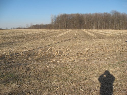 Property photo 11 - 44 Acres Offered in 3 Tracts